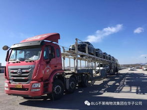 中國物流與采購聯(lián)合會汽車物流分會