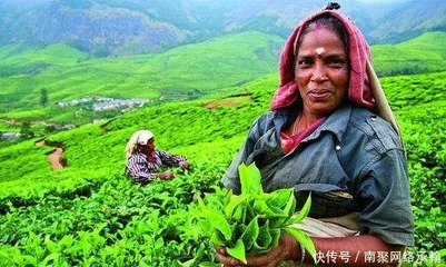 明朝曾經(jīng)干掉荷蘭艦隊(duì),令昔日超級(jí)大國(guó)的如意算盤(pán)落空96