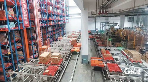 青報(bào)調(diào)查 青島加速建設(shè)農(nóng)產(chǎn)品冷鏈物流體系,讓農(nóng)產(chǎn)品一路爭(zhēng) 鮮